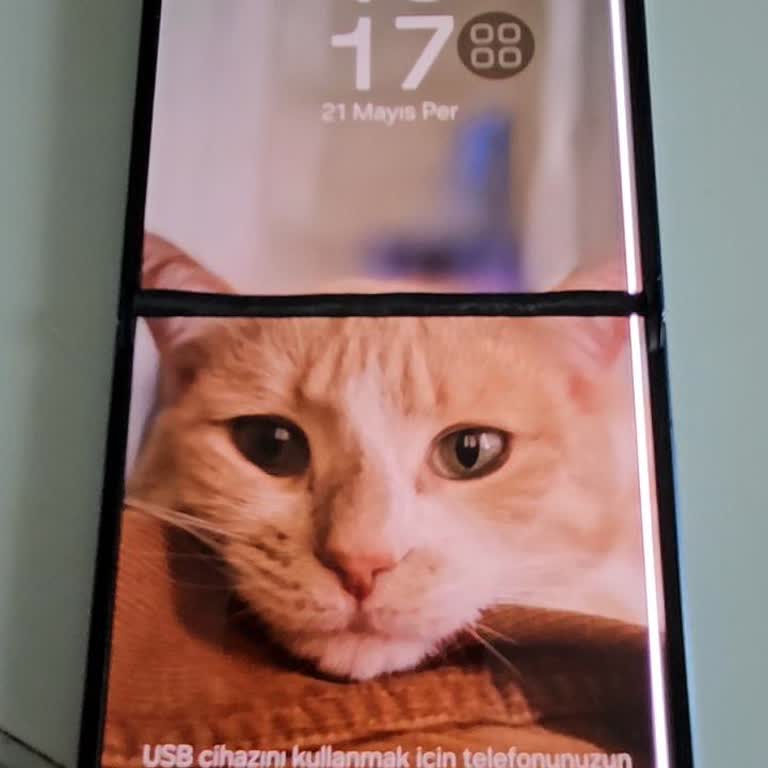 Samsung Z Flip 7'de Ekran Arızası Ve Garanti Kapsamında Ücretsiz Değişim Talebi