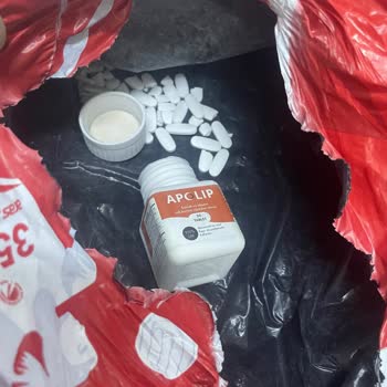 Apolip Hem Tedirgin Etti Hem de Hayal Kırıklığına Uğrattı