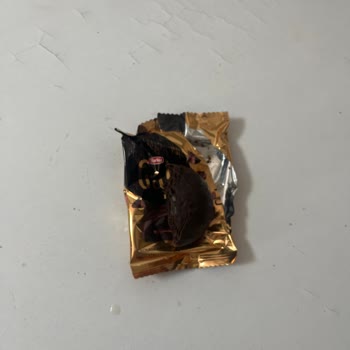 Torku Gala Gold Kekte Yarım Ürün Sorunu