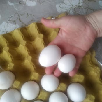 M Boyu Yumurta Paketi Gerçek Boyutu Karşılamıyor