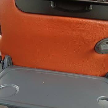 Araç İçindeki Balık Kokusundan Kaynaklanan Hijyen Sorunu Ve Umursamaz Personel Davranışı