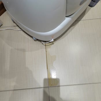 Kameralı Kedi Tuvaletinde İdrar Kaçırma Sorunu Ve Firmadan Reddetme
