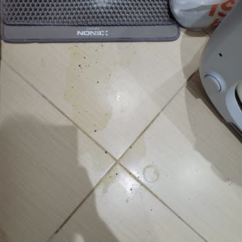 Kameralı Kedi Tuvaletinde İdrar Kaçırma Sorunu Ve Firmadan Reddetme