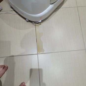 Kameralı Kedi Tuvaletinde İdrar Kaçırma Sorunu Ve Firmadan Reddetme