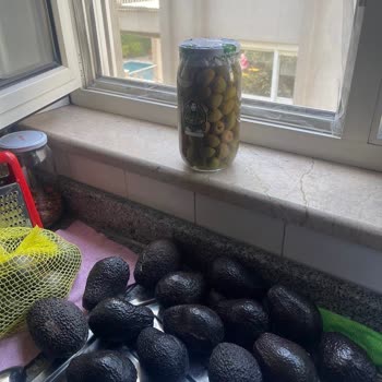 Çürük Avokadolar, Satıcıya Ulaşılamaması Ve İade Talebi