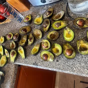 Çürük Avokadolar, Satıcıya Ulaşılamaması Ve İade Talebi
