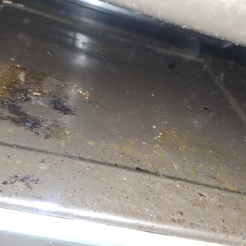 Vestel Fırın İç Gövde Paslanması Ücretsiz Değişim Talebi