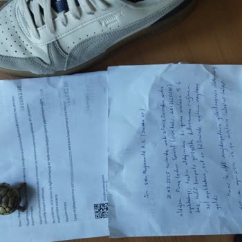Uyarı: Sneaks Up’ta Ayıplı Ayakkabı Ve Garanti Reddi