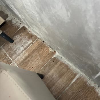 Köfte Sarayı İşletmenin Hijyen Durumu Bizi Ciddi Şekilde Rahatsız Etti