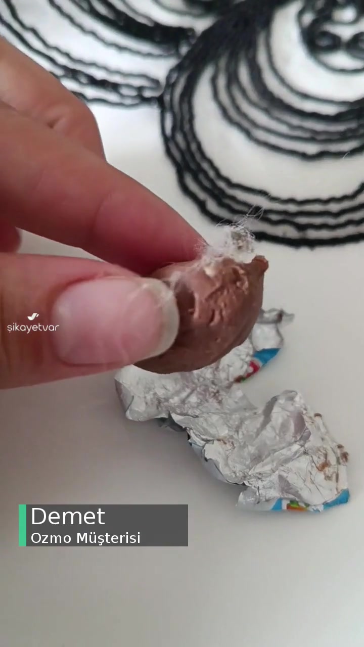 Ozmo Küçük Yumurtanın İçinden Böyle Tüy Çıktı videonun kapak resmi