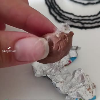 Ozmo Küçük Yumurtanın İçinden Böyle Tüy Çıktı