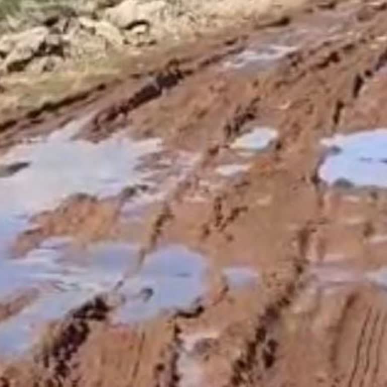 Siverek Güvercin Köyü Sapanlı Yolunun Çamurla Kaplanması Ve Acil Çözüm Gerekliliği