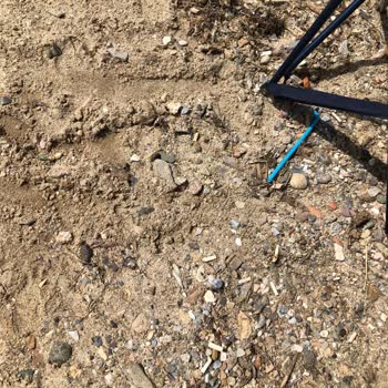 Milas Belediyesi Güllük Halk Plajı Çöplük Haline Geldi: Temizlik ve Kum Eksikliği