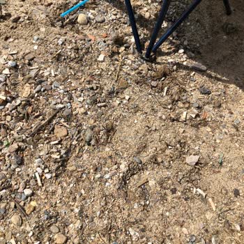 Milas Belediyesi Güllük Halk Plajı Çöplük Haline Geldi: Temizlik ve Kum Eksikliği