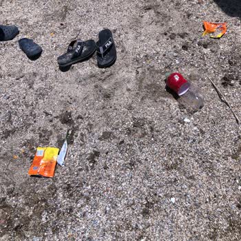 Milas Belediyesi Güllük Halk Plajı Çöplük Haline Geldi: Temizlik ve Kum Eksikliği