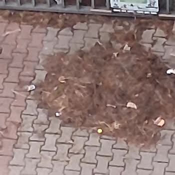 Kompostolar Yaya Güvenliğini Tehdit Ediyor: Maltepe Cevizli Mahallesi