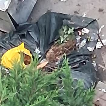 Kompostolar Yaya Güvenliğini Tehdit Ediyor: Maltepe Cevizli Mahallesi