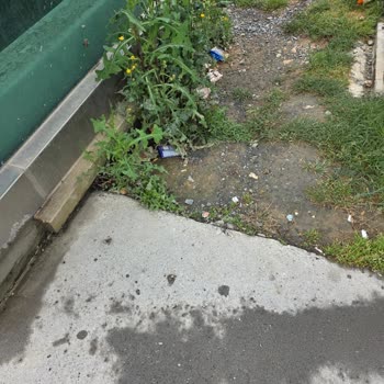 Kocamustafapaşa Mahallesinde Yetersiz Sokak Yıkama Ve Kirli Kaldırımlar
