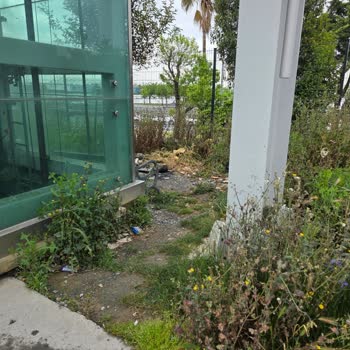 Kocamustafapaşa Mahallesinde Yetersiz Sokak Yıkama Ve Kirli Kaldırımlar