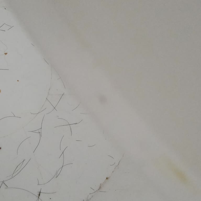 Saç Düzleştiricinin Yanması Ve Yanıltıcı Satıcı Teklifi
