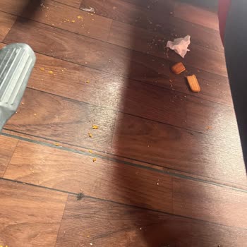 Mardin Vif Otobüsünde Yolcu Yoklaması Yapılmadan Hareket Ettirilmesi