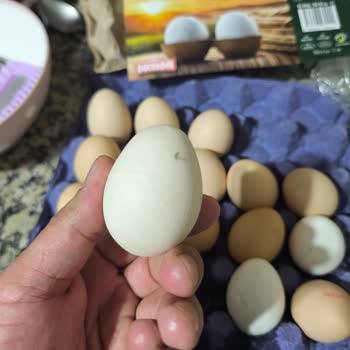 Sultanbeyli Tansaş Şubesinde Orta Boy Yumurta Küçük Ve Kırık Çıktı