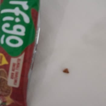 Purfigo Bir Taşa Benzeyen Sert, Küçük Bir Cisim Çıktı