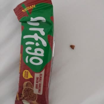 Purfigo Bir Taşa Benzeyen Sert, Küçük Bir Cisim Çıktı