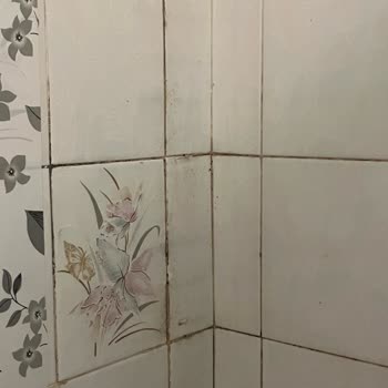 Ablan Temizler'den Aldığım Ev Temizliği Eksik Ve Ücretine Uygun Değil