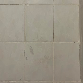 Ablan Temizler'den Aldığım Ev Temizliği Eksik Ve Ücretine Uygun Değil