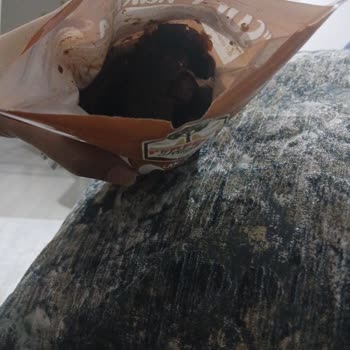 A101 Soft Hurma Paketi Bozulmuş, İade Ve Yanıt Bekleniyor