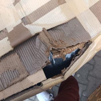 Alanyalılar Şoförünün Tehdit Ve Çocuk Darpı, Islak Koli Zararları