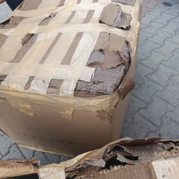 Alanyalılar Şoförünün Tehdit Ve Çocuk Darpı, Islak Koli Zararları