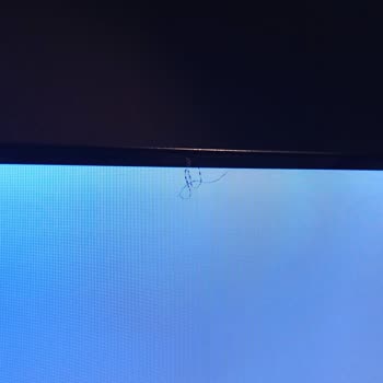 Ekranda Kıl Sorunu Ve Servisin Cevapsızlığı