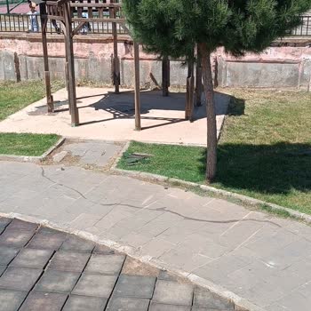 Viranşehir Spor Kompleksi Parkında Işıklandırma Ve Güvenlik Sorunları