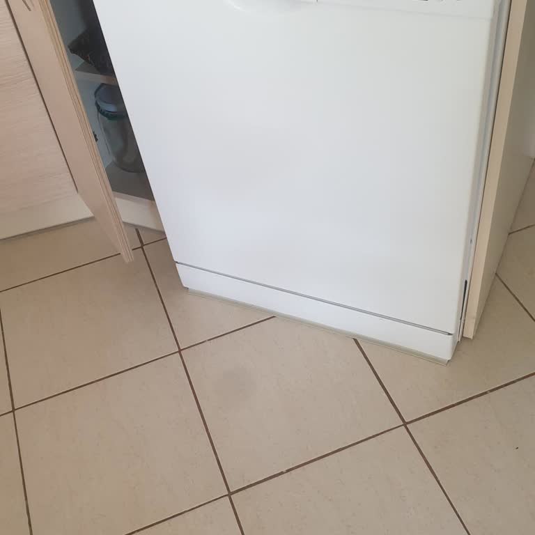 Ankarapen.net.tr Bulaşık Makinemizi İyice Bozdu