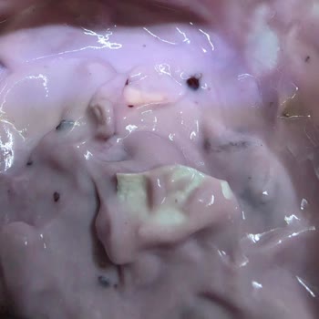Şok Marketten Alınan Sek Yogurtta Yabancı Madde Tespiti Hijyen Ve Güven Sorunu