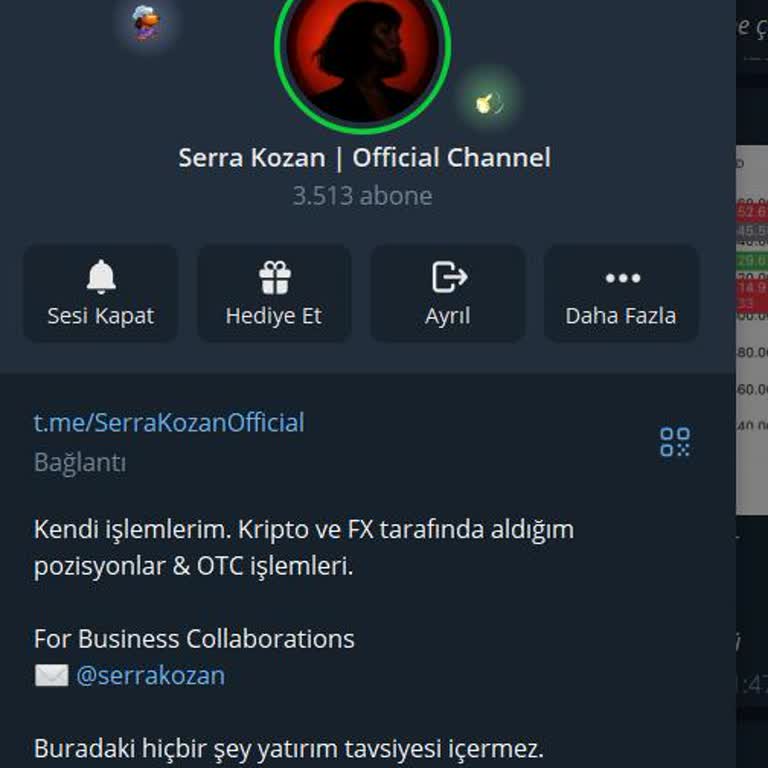 Telegram Kanalı Yanıltıcı Kripto Sinyalleri Verdi, Kar Payını Kesip Sermayemi Yok Etti