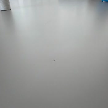 Kırık TV Ünitesi Ve Ezilen Masa İçin Parça Değişimi Talebi