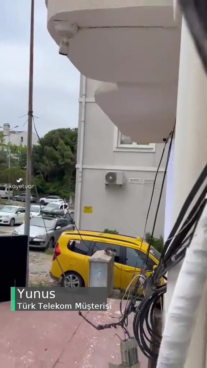Türk Telekom Kablolarının Yarattığı Güvenlik Riski Ve Çevre Kirliliği videonun kapak resmi