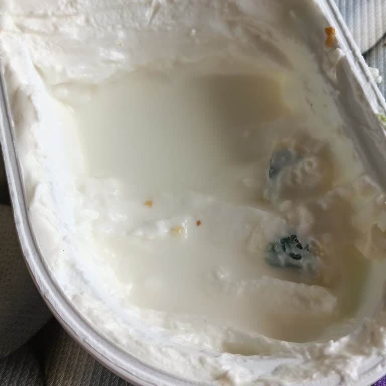 Torku Labne Peynir Açılmamış Pakette Küf Tespiti