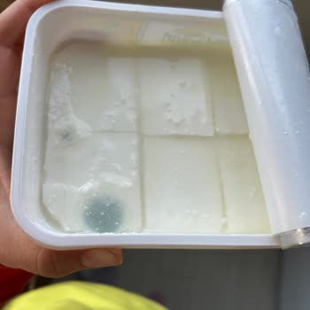 Yörsan Son Kullanma Tarihi Geçmemiş Peynirde Küf ve Hayal Kırıklığı