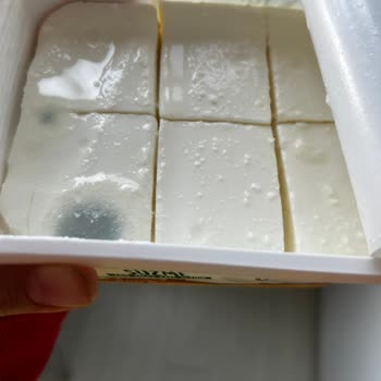 Yörsan Son Kullanma Tarihi Geçmemiş Peynirde Küf ve Hayal Kırıklığı