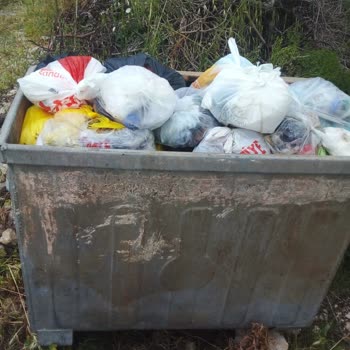 İki Yaşlı Hastanın Yanındaki Çöp Konteyneri Boşaltılmıyor