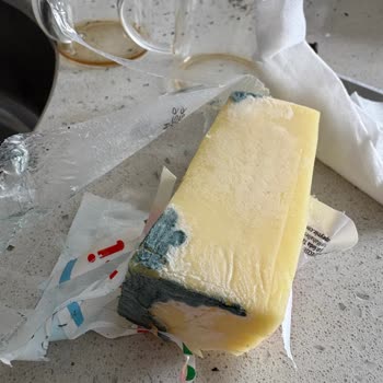 Ekici Kaşarının Yedi Gün İçinde Küflenmesi Ve Son Kullanma Tarihi Sorunu