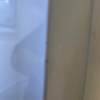 Hasarlı Buzdolabının İade Sürecinde İdefix Ve Samsung’un Oyalaması