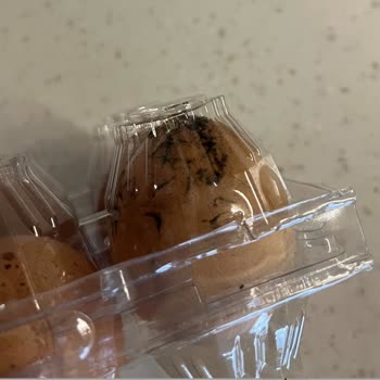 Raya Farm Organik Yumurta Paketi İçinde Küflü Ve Çatlamış Yumurta