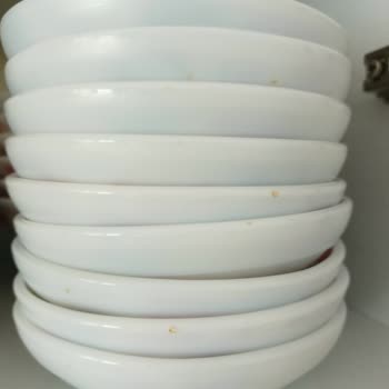 Electrolux Bulaşık Makinesindeki Paslanma Ve Servis İhmaline Karşı İade Talebi