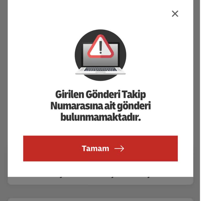 Instagram Satıcısının Gerçekleşmeyen Kargo Gönderisi Ve Yanıltıcı Takip Numarası