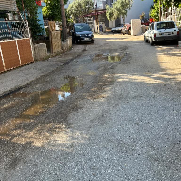 Yanlış Eğimli Asfalt Nedeniyle Çukurova'da Sürekli Su Birikintisi Ve Haşere Sorunu